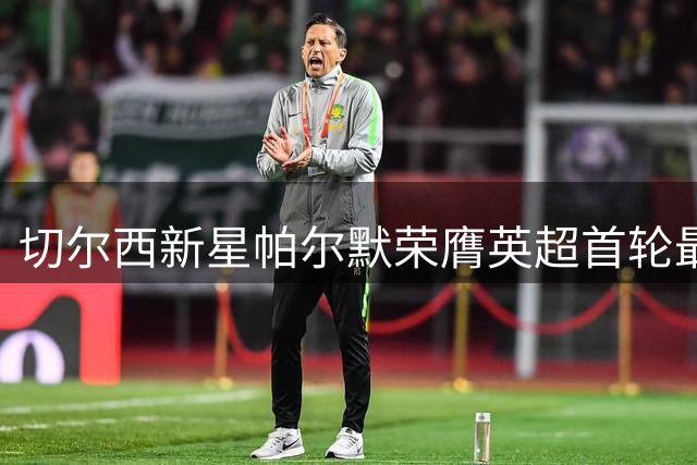 切尔西新星帕尔默荣膺英超首轮最佳球员